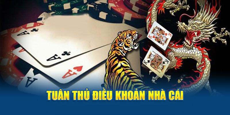Tuân thủ điều khoản nhà cái